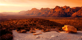 aaa auto insurance nevada