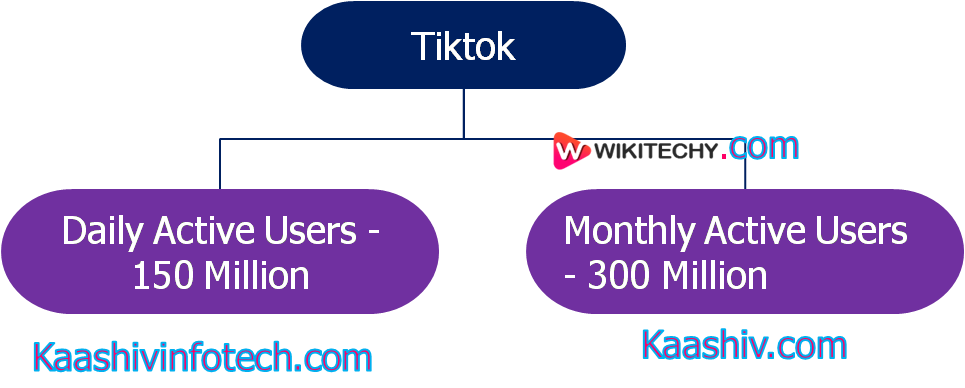  tiktok users