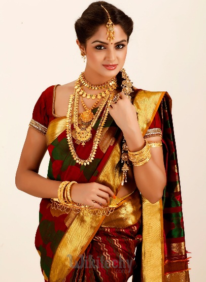 Indian Traditional Dress