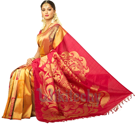 Indian Traditional Dress