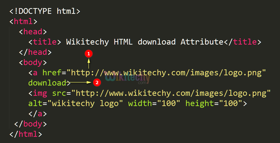 download Attribute Code Explanation