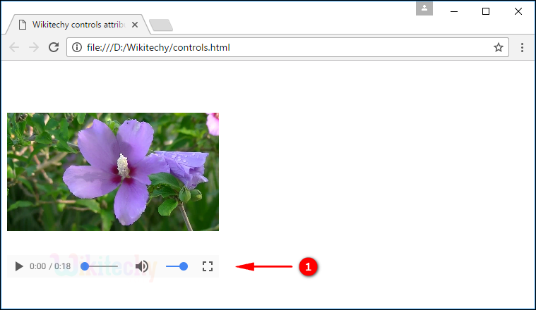 contols Attribute Tag Output