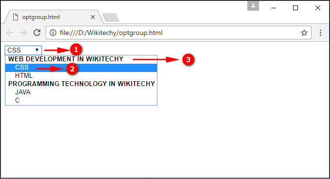 <optgroup> Tag Output