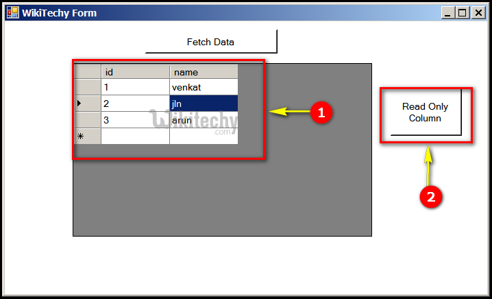  c-sharp read only column output2