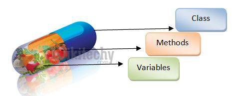  encapsulation