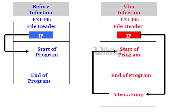 how-virus-works